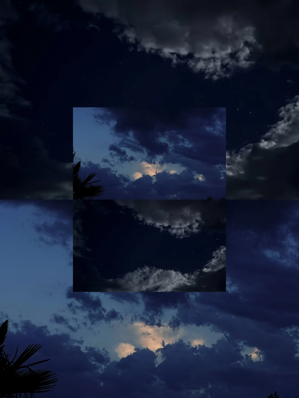 Wolken tijdens het blauwe uur, met een palmblad in de hoek